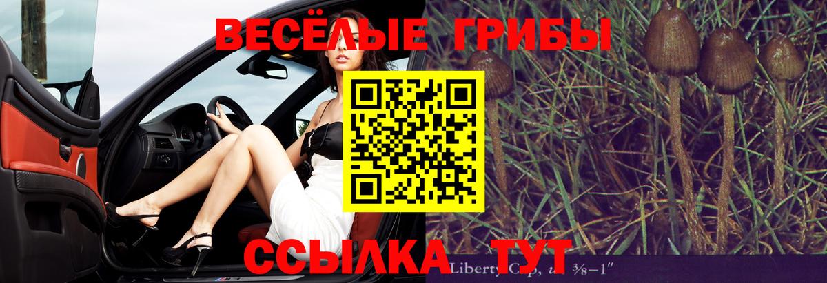 Галлюциногенные грибы Magic Shrooms Ростов-на-Дону