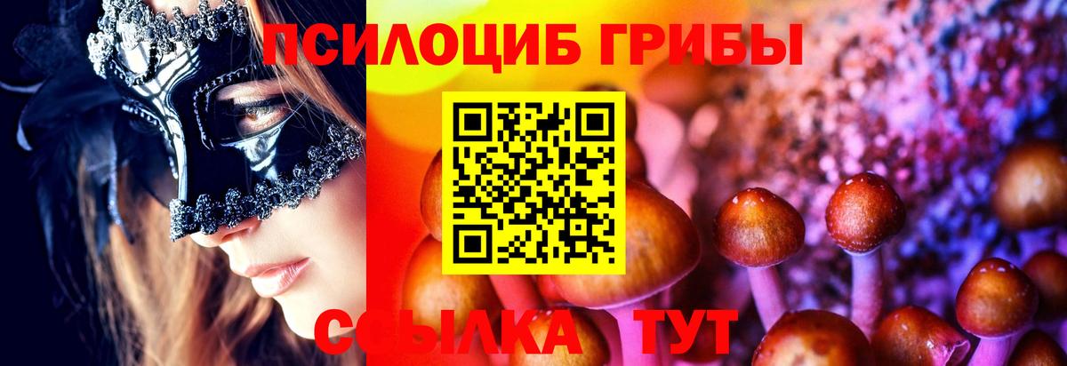 Галлюциногенные грибы MAGIC MUSHROOMS  Галлюциногенные грибы Cubensis  Ростов-на-Дону  Вход с VPN 